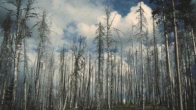 Video thumbnail for Retirement Planning