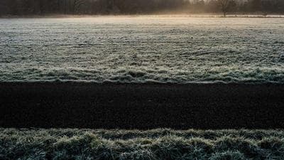 Video thumbnail for Tax Planning & Optimization